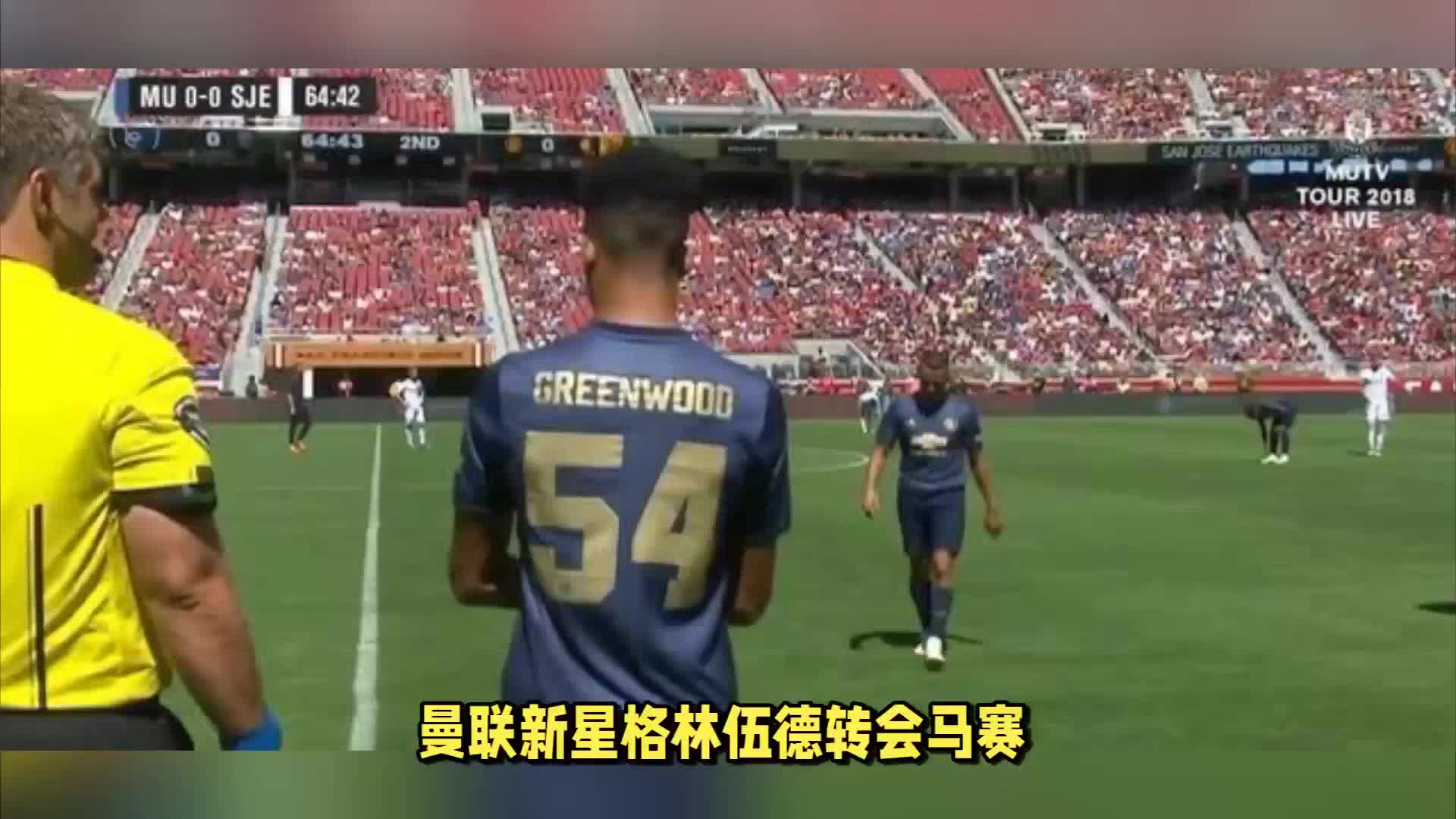 国际化水平