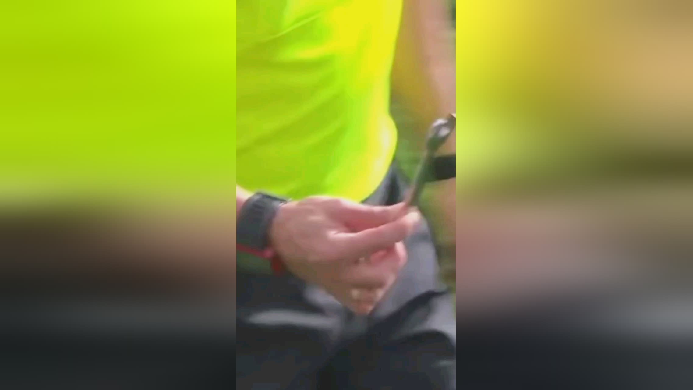 极因